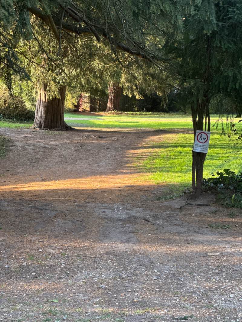 walking near me in Downton Moot in spring