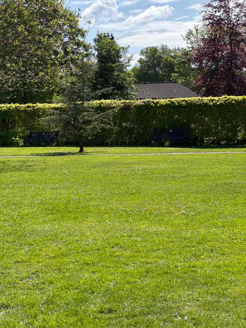 walking near me in Romsey War Memorial Park in spring