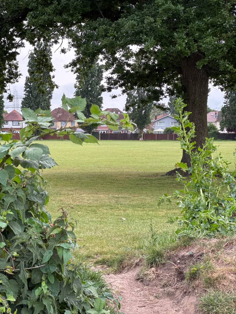 walking near me in Green Park in spring