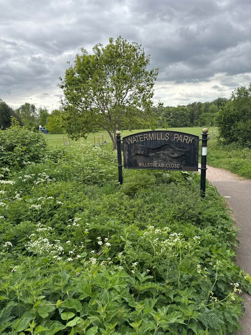 walking near me in Watermills Park in spring