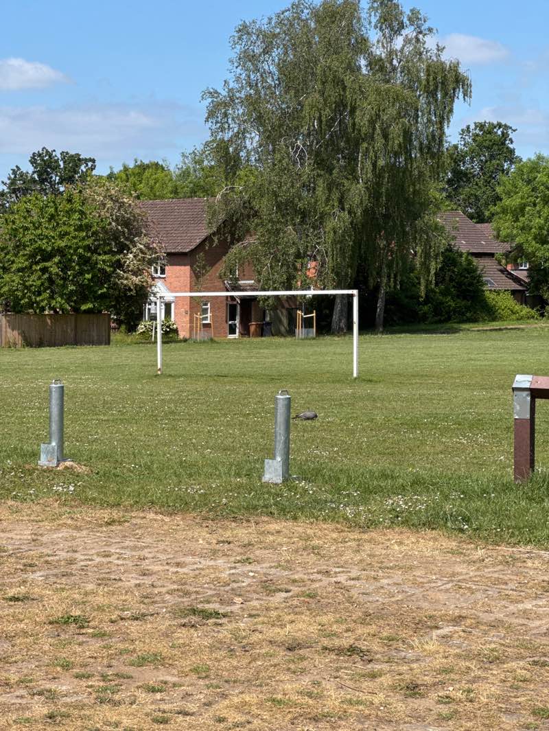 walking near me in Lavington gardens playing field in spring