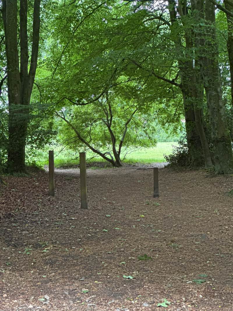 walking near me in Mountbatten Park in spring