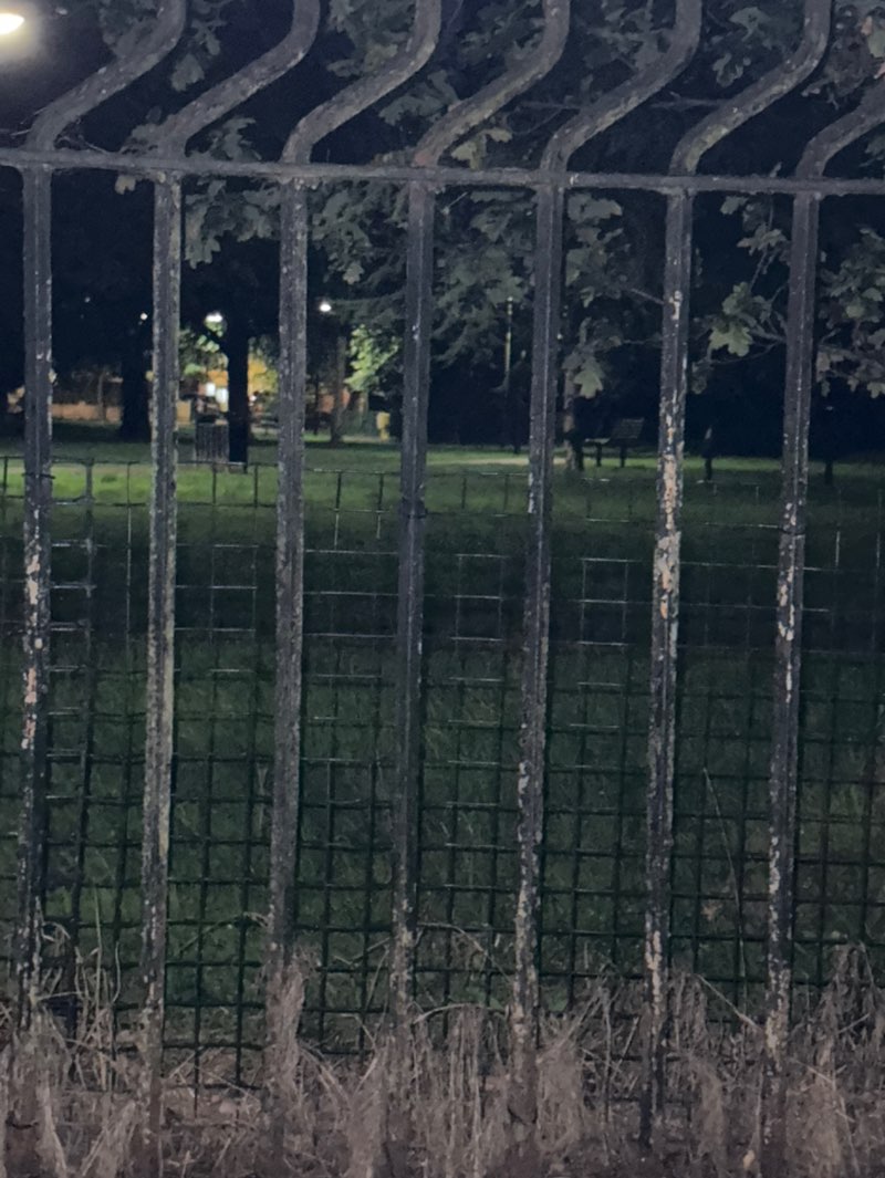 walking near me in Cedar Lodge Park in autumn