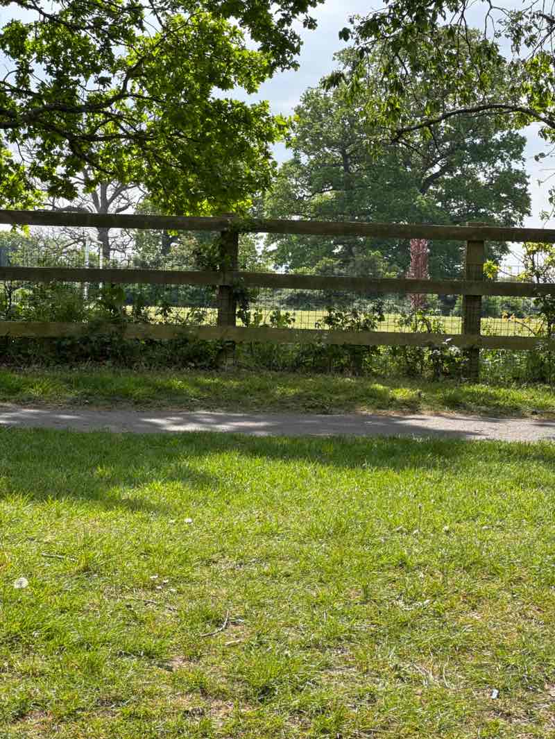 walking near me in Botley Road Park in spring