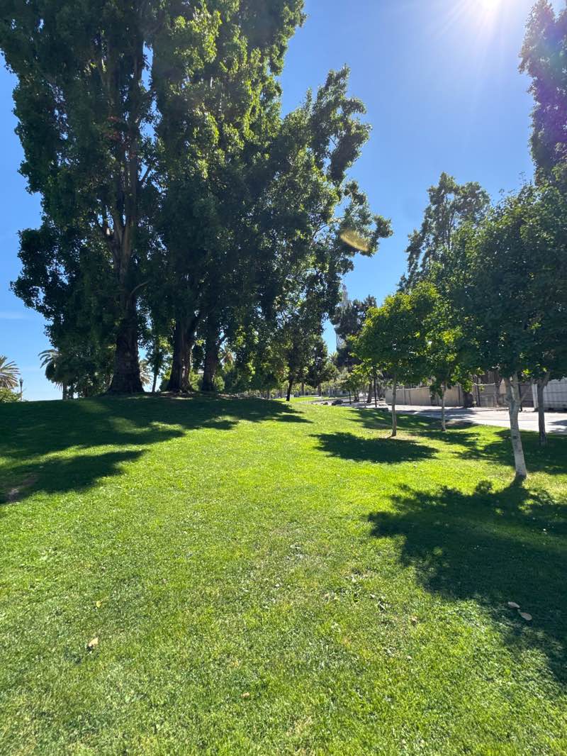 walking near me in Embarcadero Plaza in autumn