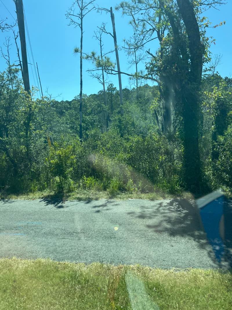 walking near me in James Island County Park in summer