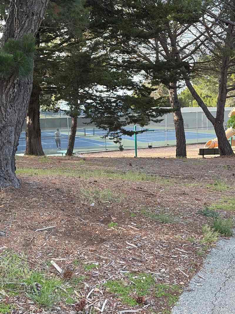 walking near me in Hallmark Park in spring