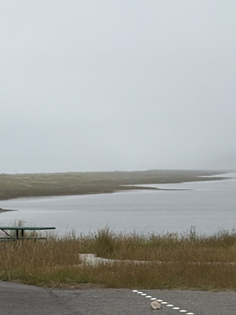 walking near me in Big Lagoon County Park in summer