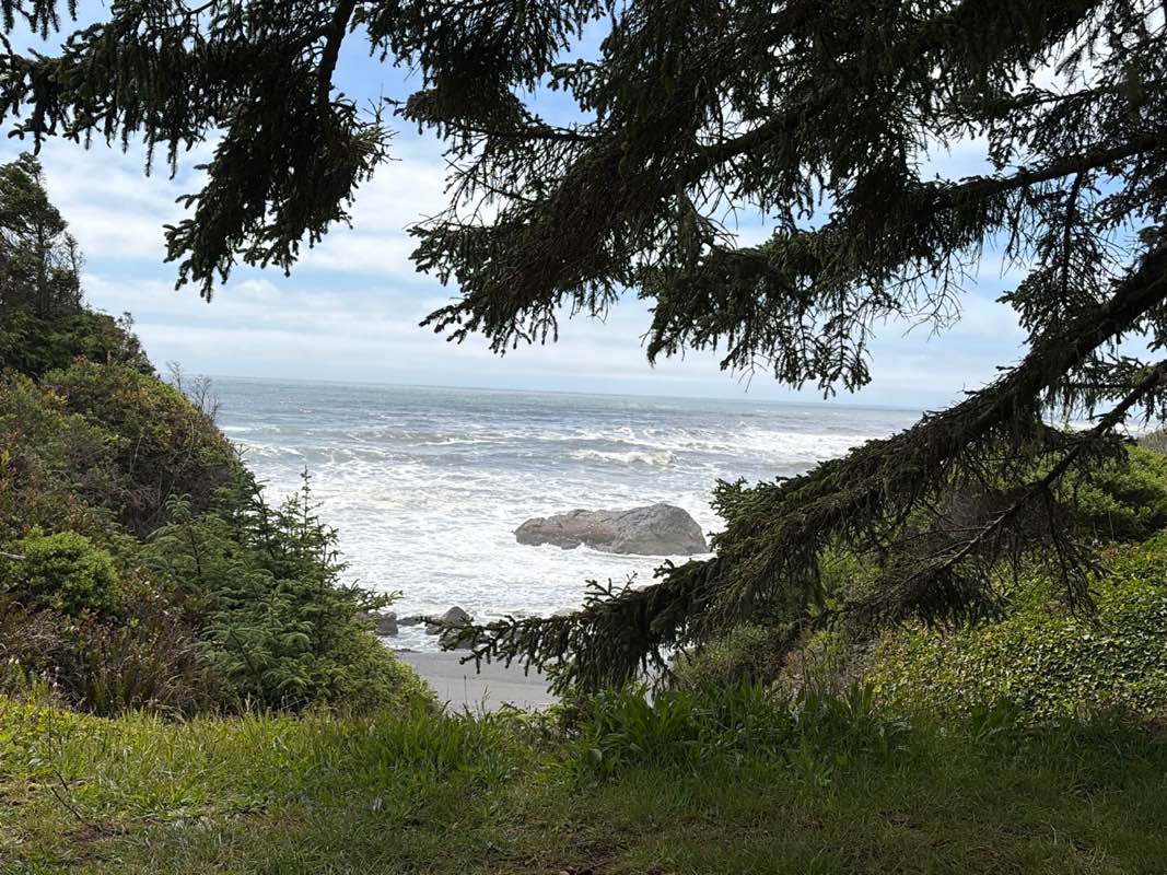 walking near me in McVay Rock State Recreation Site in summer