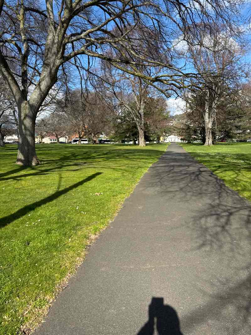 walking near me in Brickfields Reserve in spring