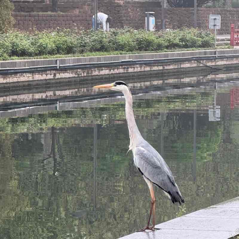 你好   微笑的信息 post 1