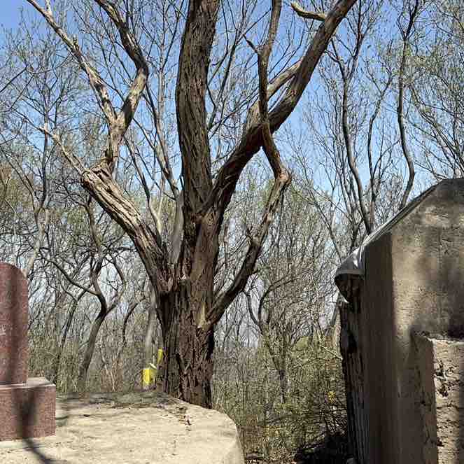 你好   微笑的信息 post 2