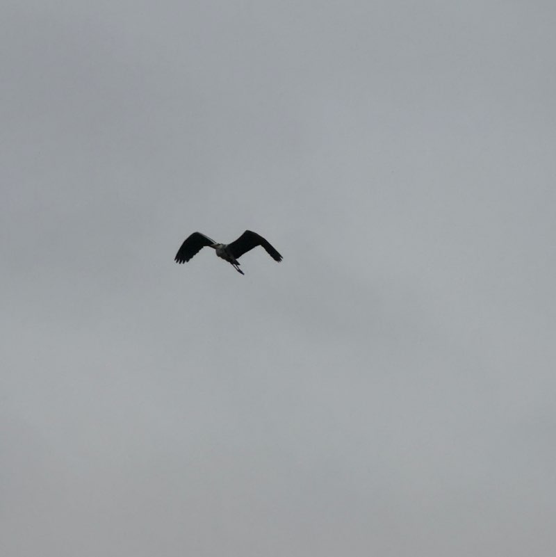 你好   微笑的信息 post 2