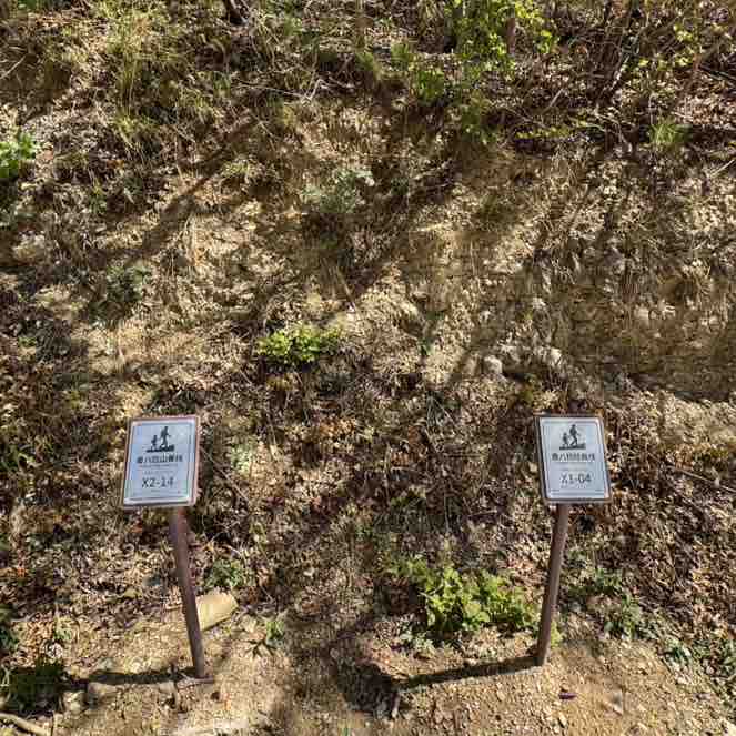 你好   微笑的信息 post 3