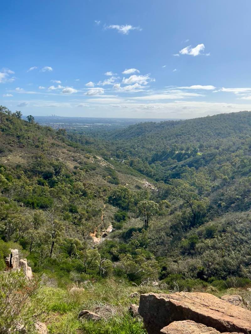 walking near me in Korung National Park in summer