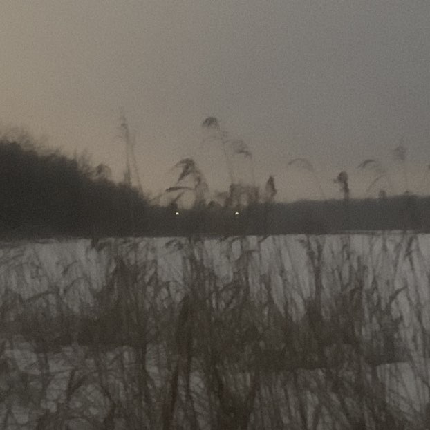 master J runner post 3