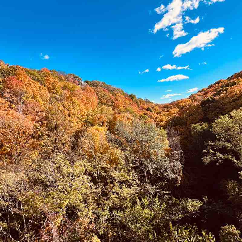 master J runner post 3