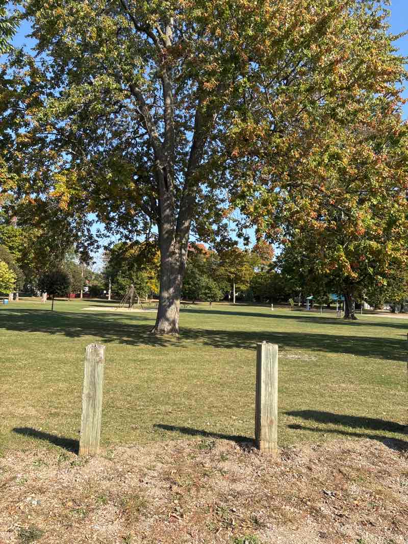 walking near me in Wright Park in autumn