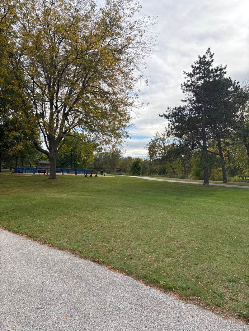 walking near me in Tittabawassee Riverfront Park in autumn