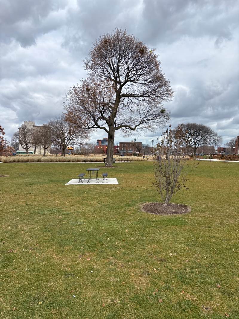walking near me in Roosevelt Park in autumn