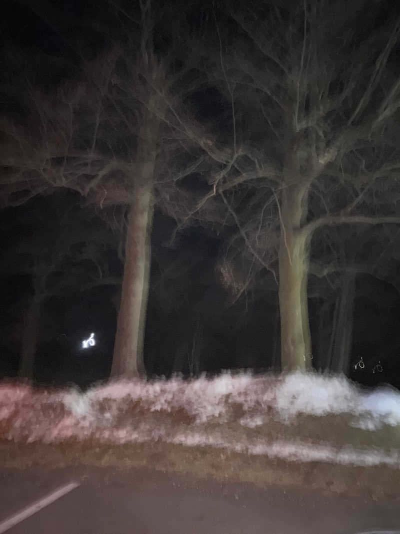 walking near me in Woodland Park in winter