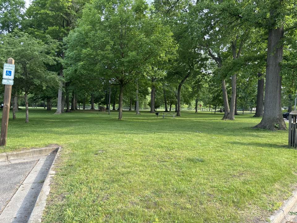 walking near me in Nelson Park in summer