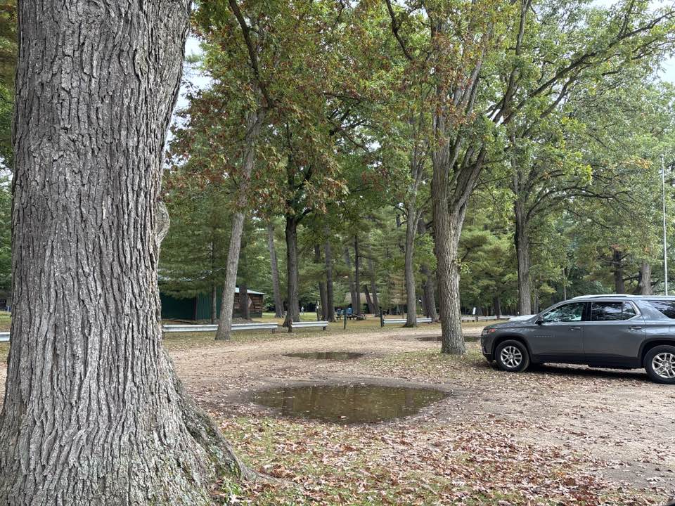 walking near me in Lumberjack & Rivermen's Park in autumn