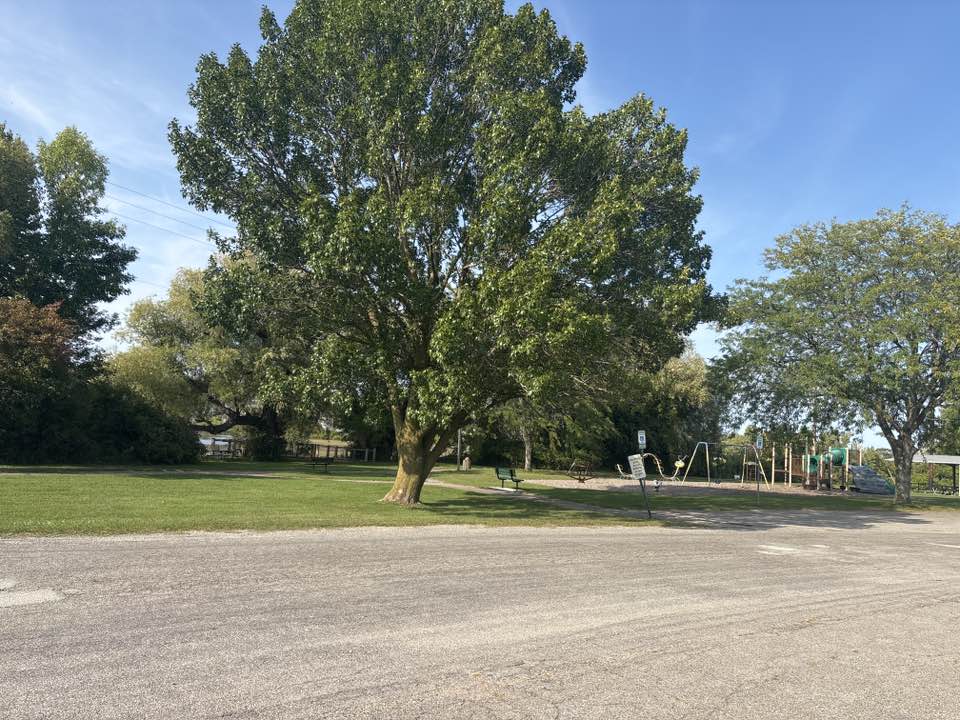 walking near me in Pine River Park in autumn