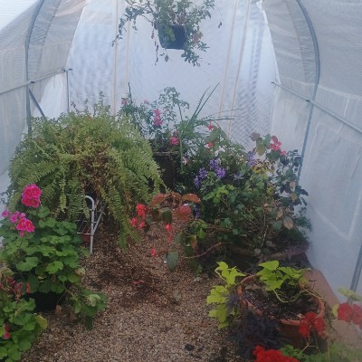 Beauty's Beast amcfairydust post image