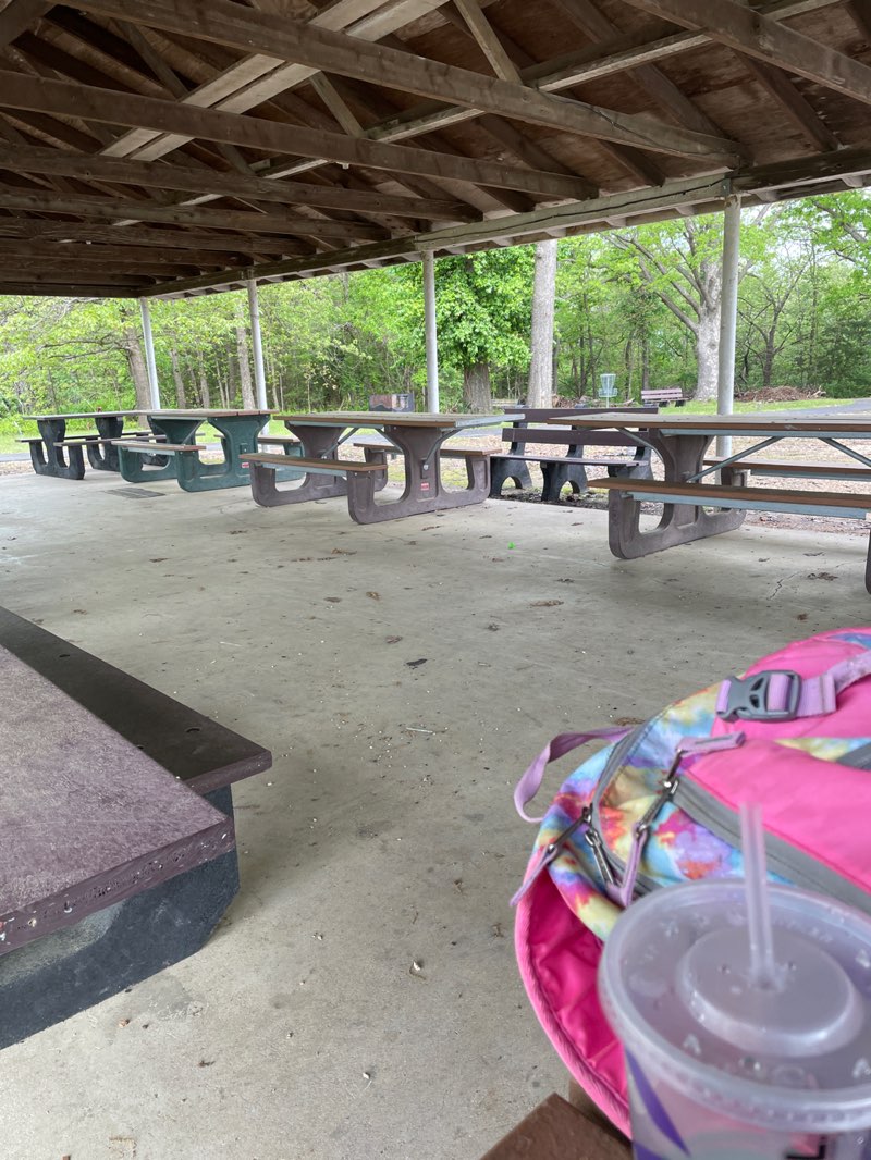 walking near me in City Park in spring