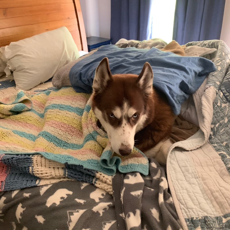 Ryan Zikmund profile