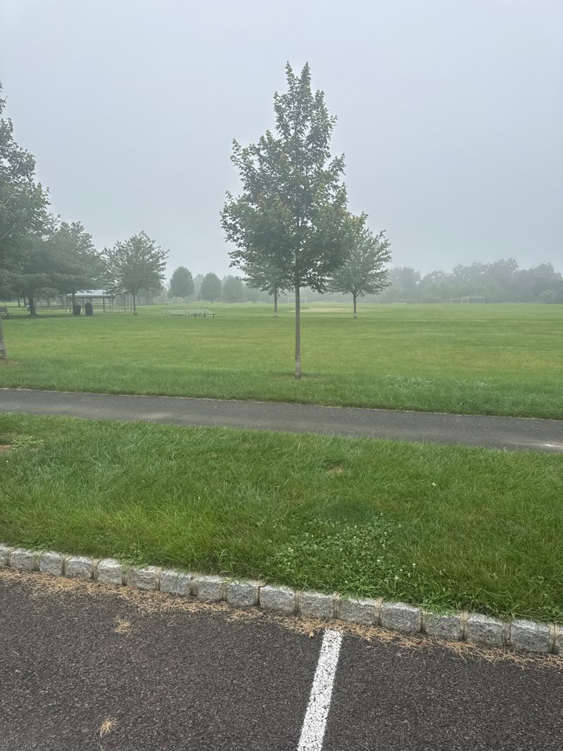 walking near me in George M. Bush Park in summer