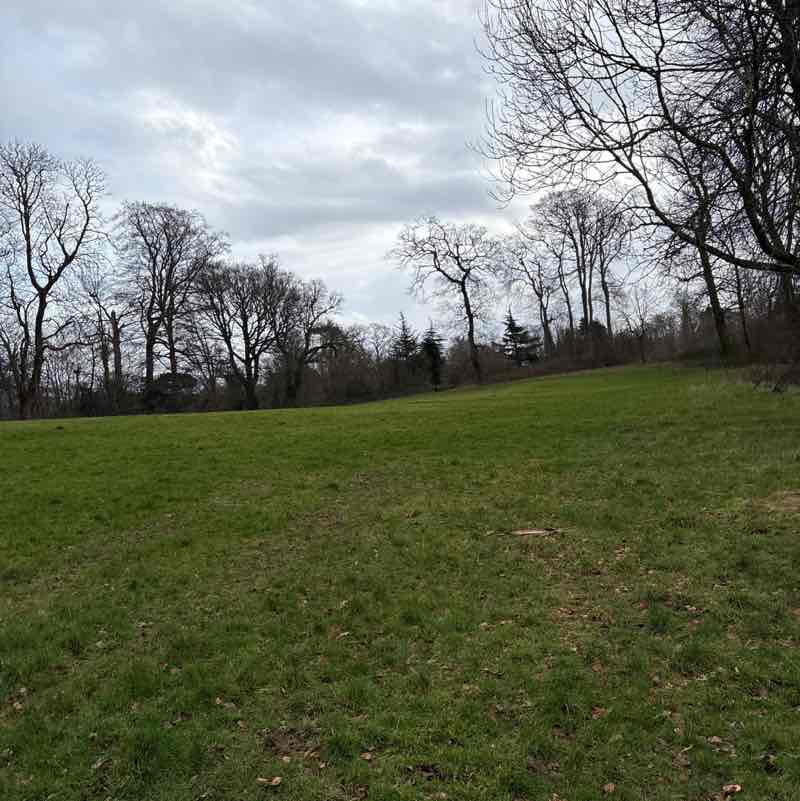 PacerGuy_1964 post 1