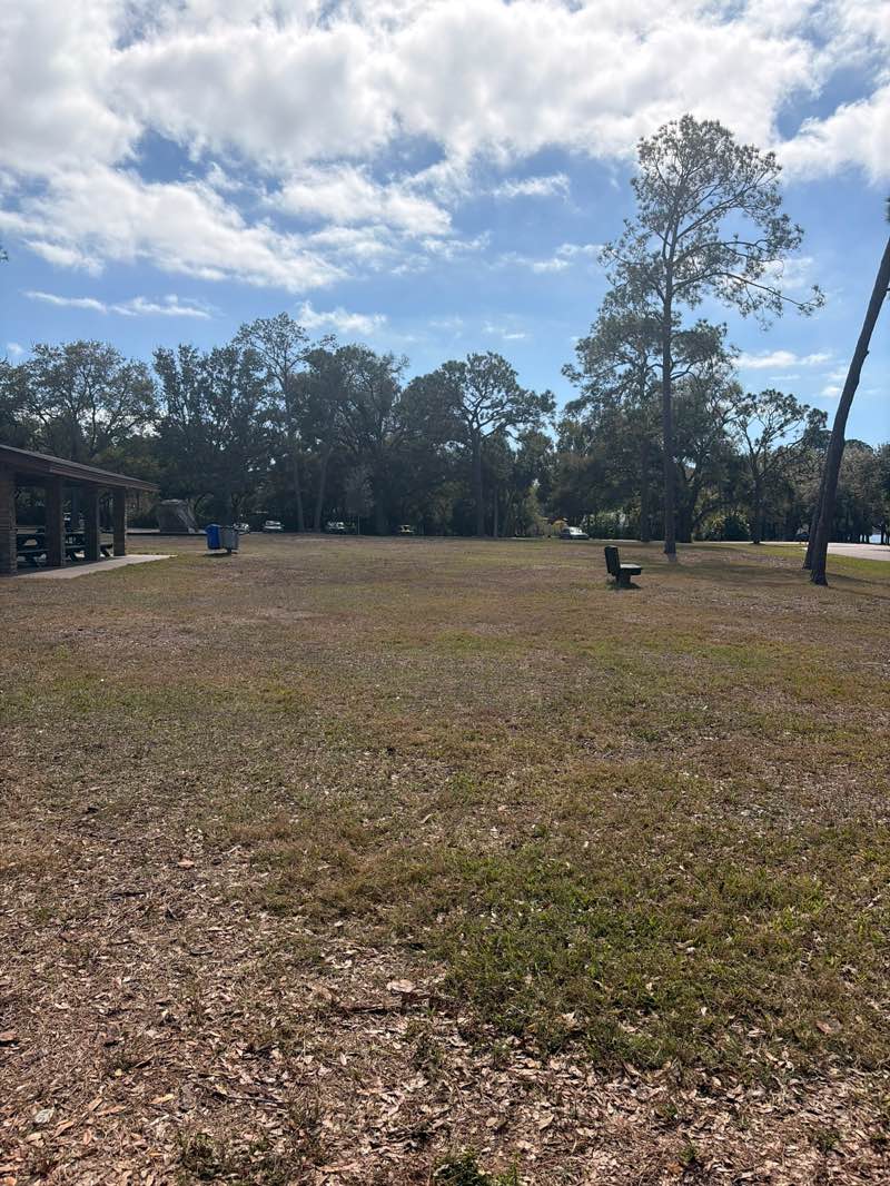 walking near me in Taylor Park in winter