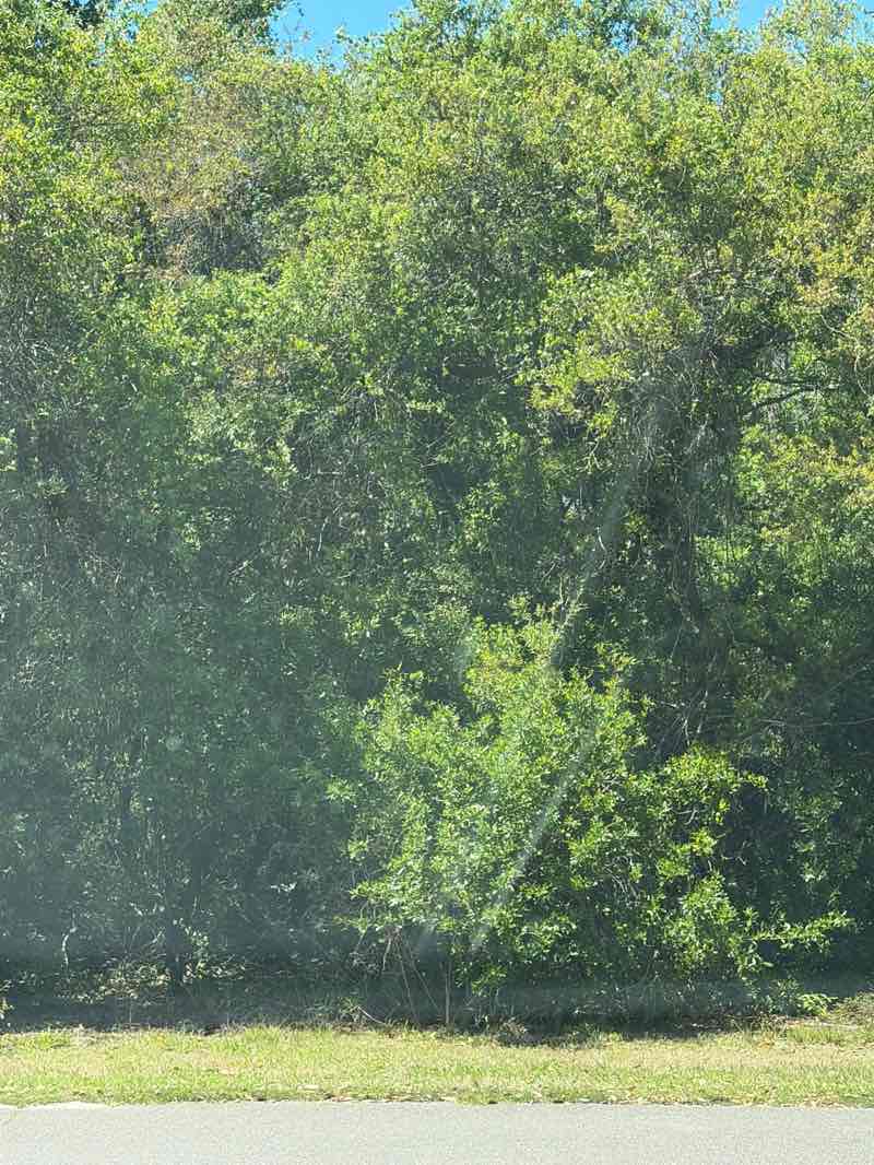 walking near me in Eagle Lake Park in spring