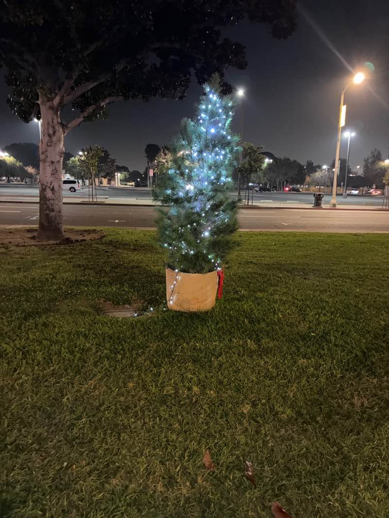 walking near me in Euclid Avenue Historic Park in winter