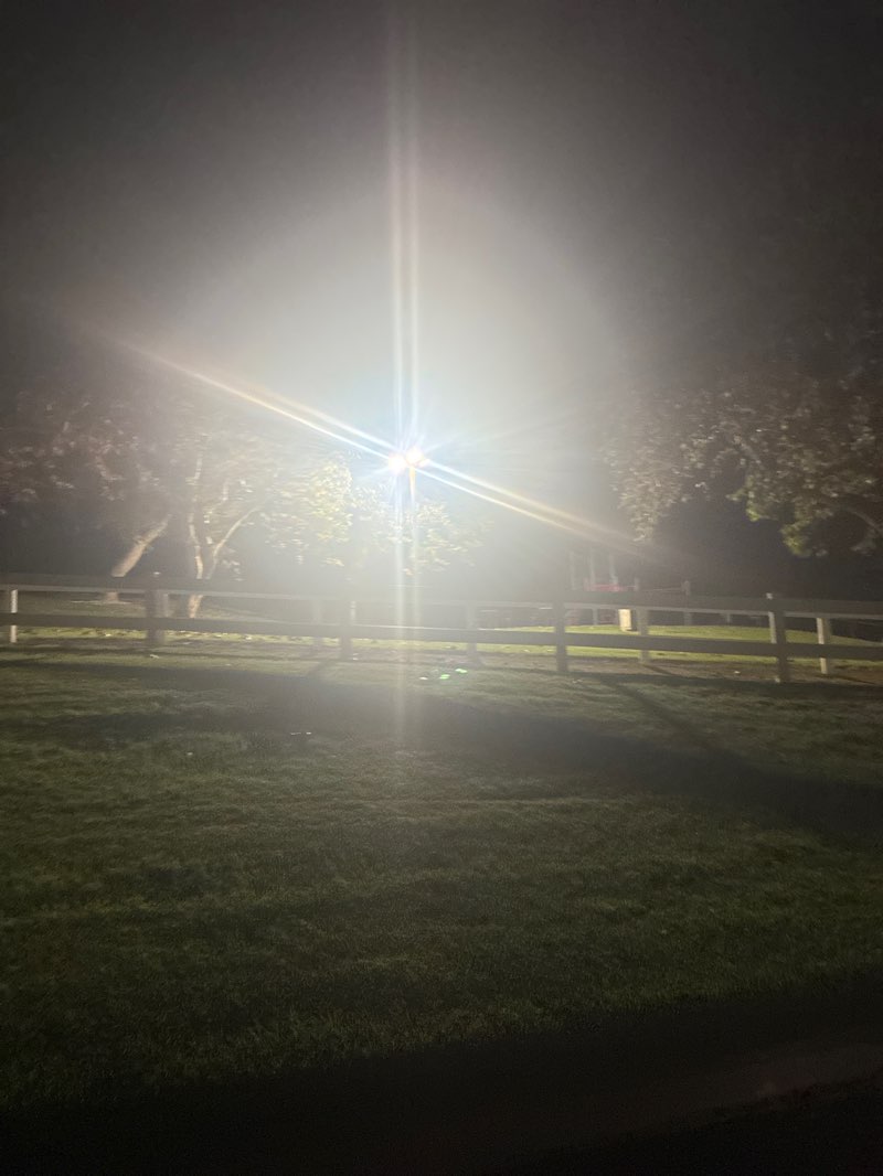 walking near me in Neil Snipes Park in winter