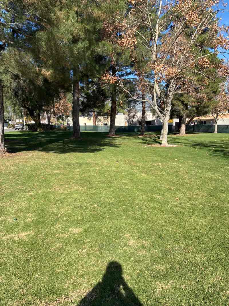 walking near me in Lions Park in winter