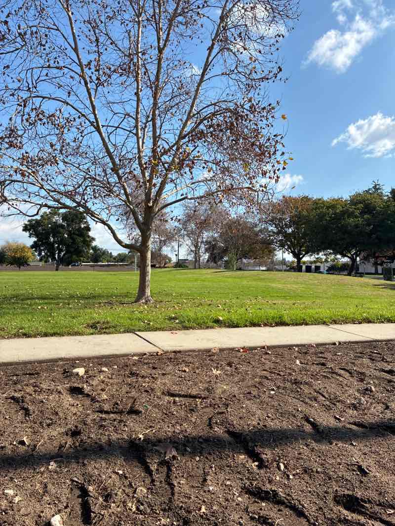 walking near me in Bear Gulch Park in winter