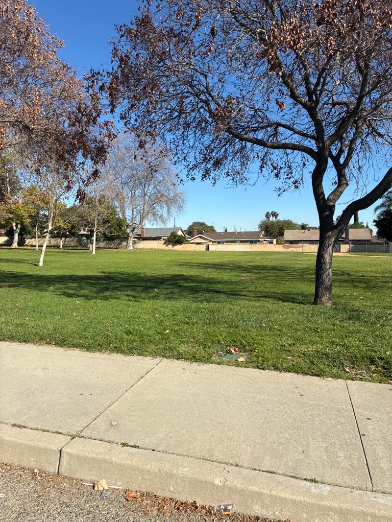 walking near me in Citrus Park in winter