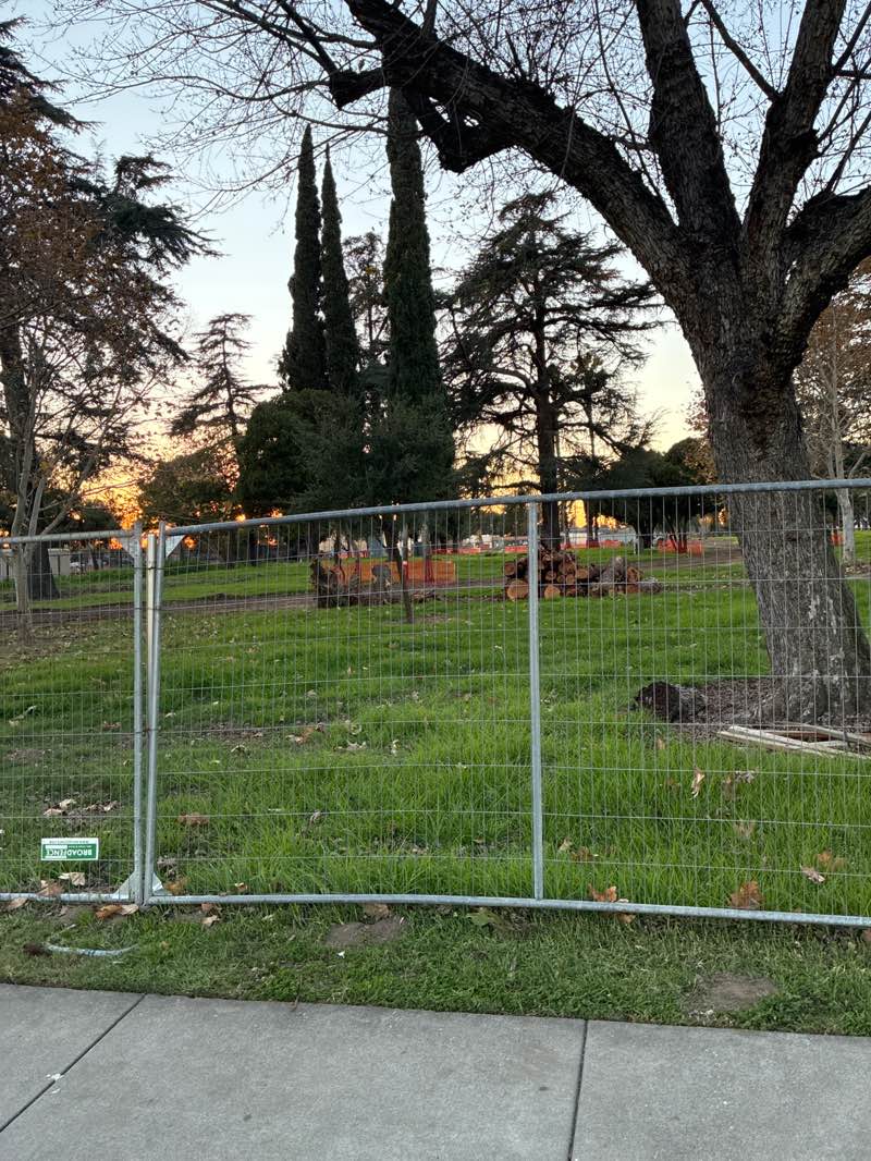 walking near me in De Anza Park in winter