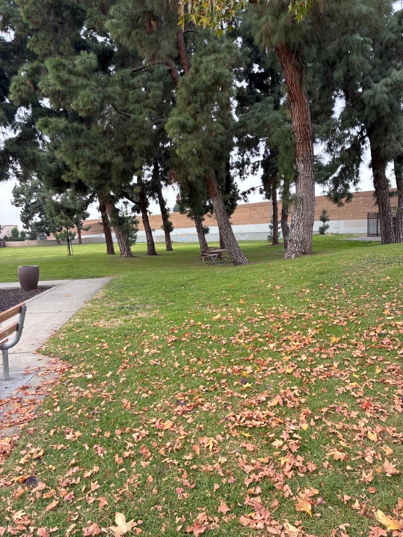 walking near me in MacArthur Park in winter