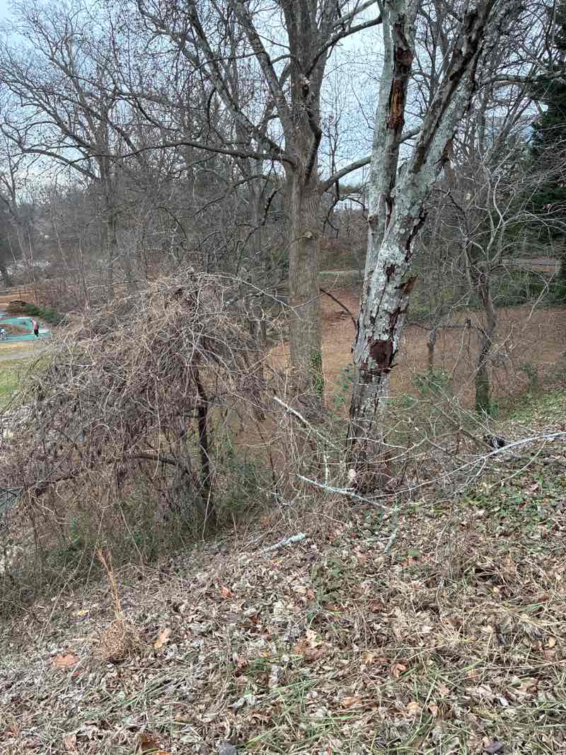 walking near me in McPherson Park in winter