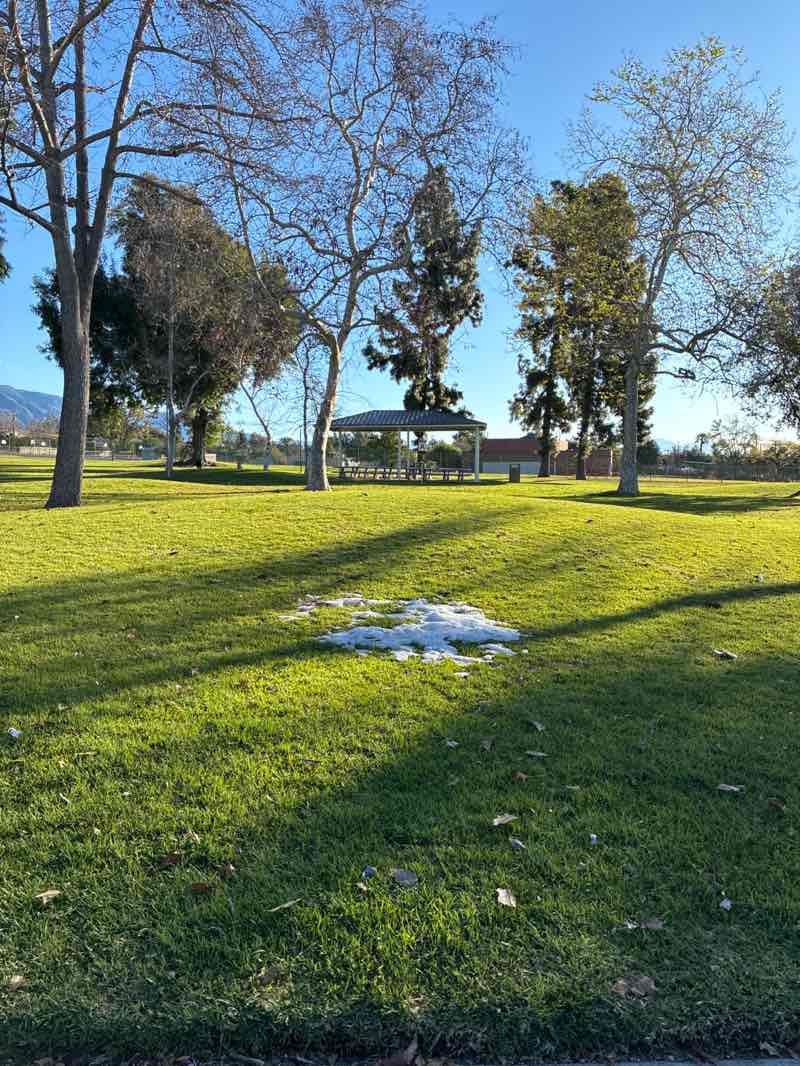walking near me in Magnolia Park in winter