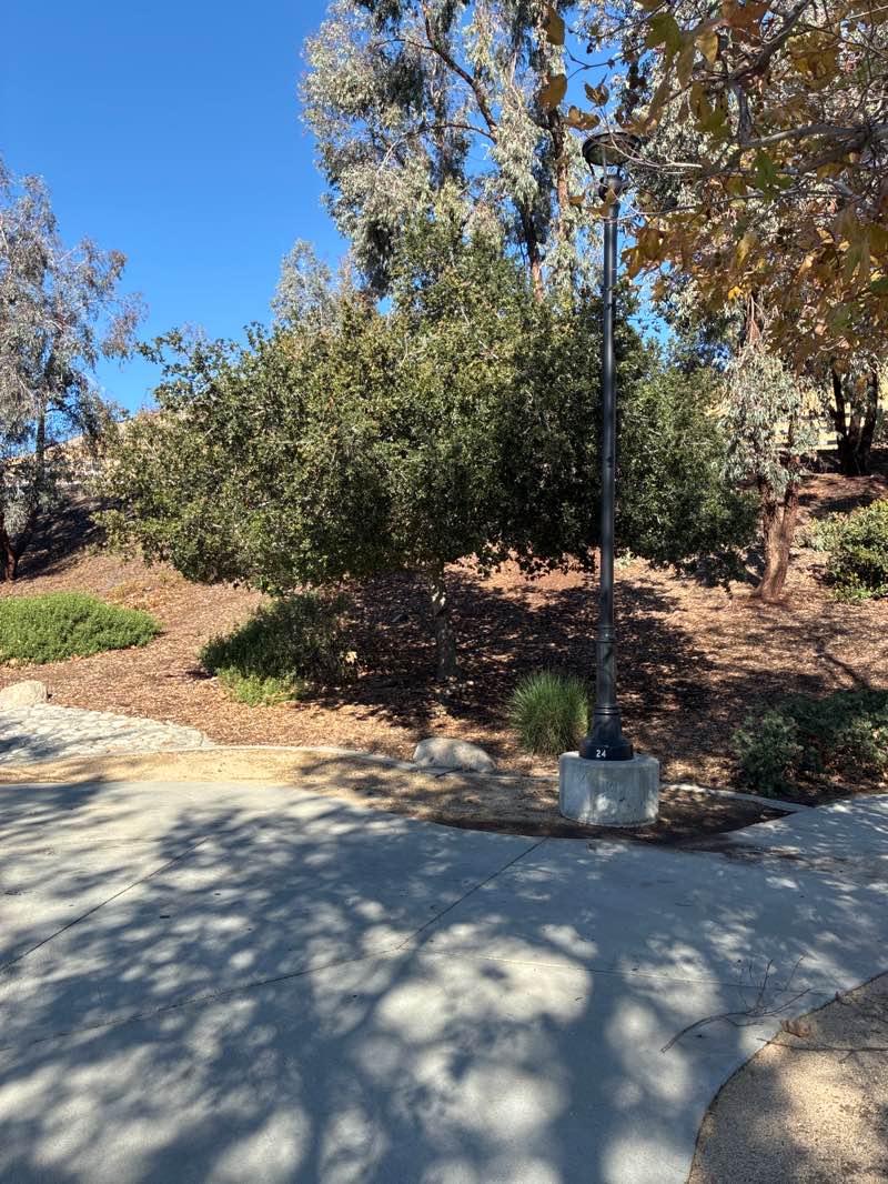 walking near me in Route 66 Trailhead Park in winter