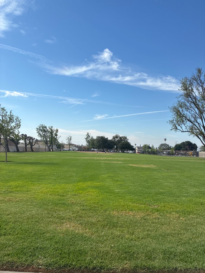 walking near me in George Gibbs Park in spring