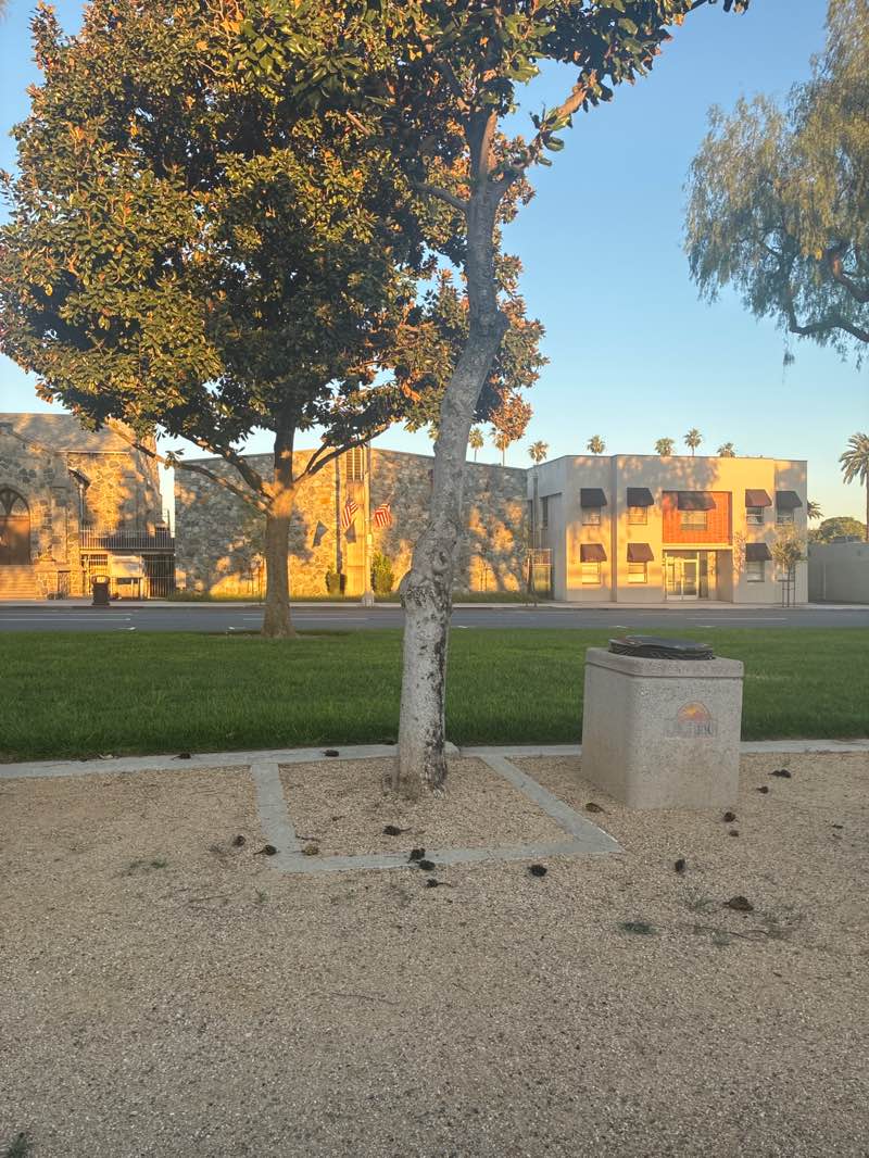 walking near me in Euclid Avenue Historic Park in spring