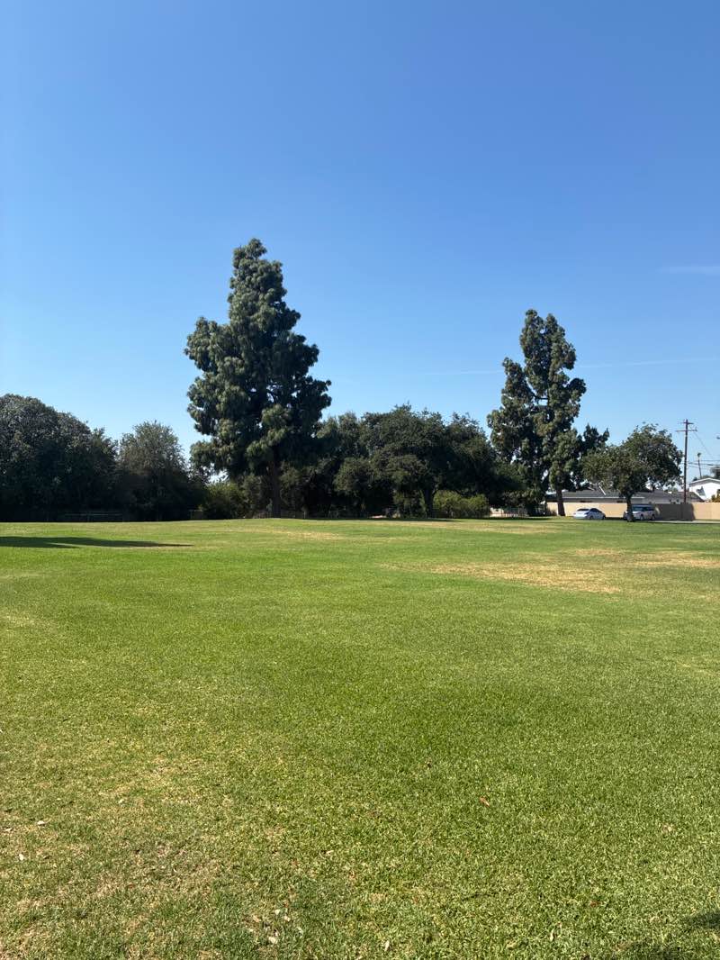 walking near me in Sunrise Park in spring