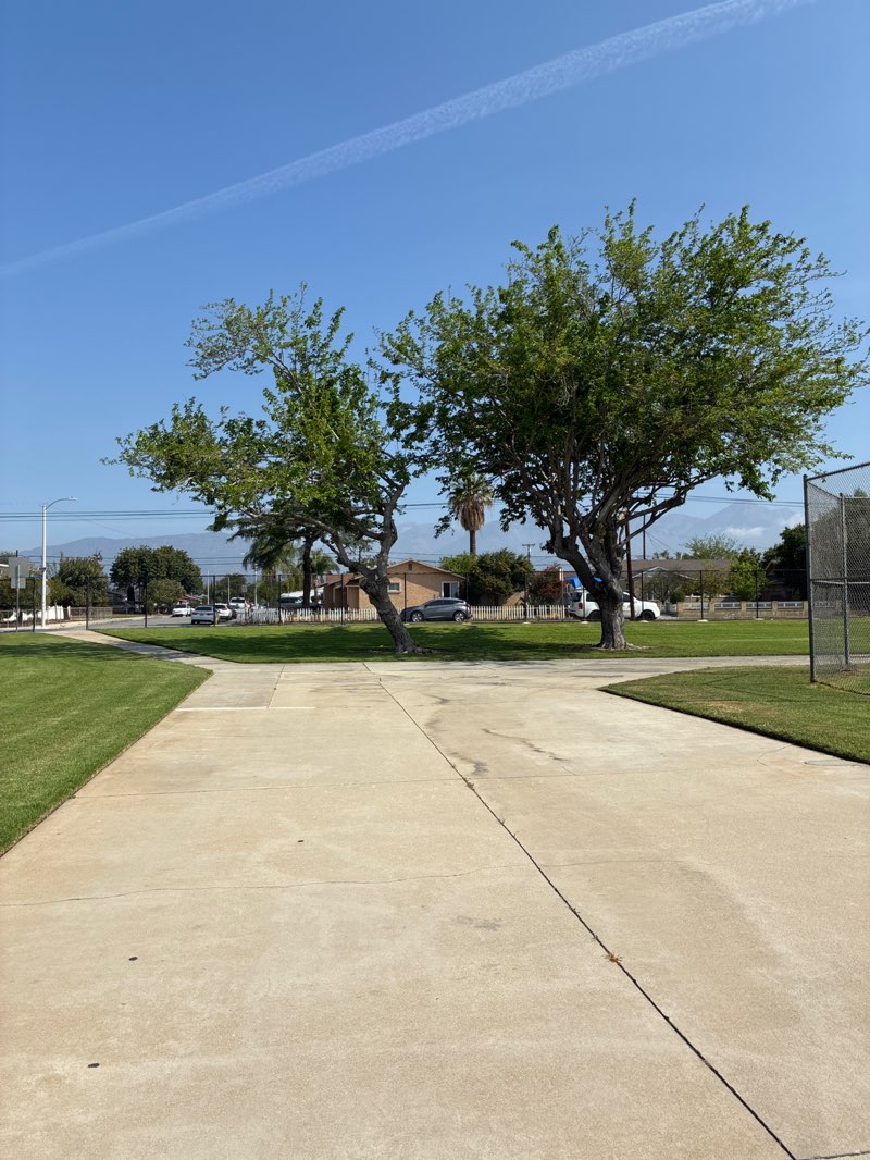 walking near me in Kingsley Park in spring