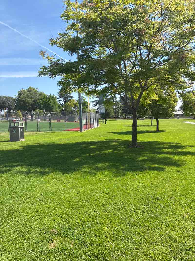 walking near me in Olivedale Park in spring